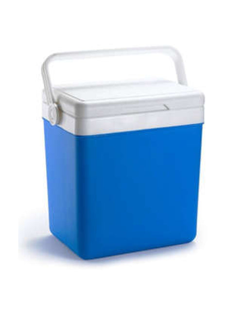 צידנית קשיחה לפיקניק